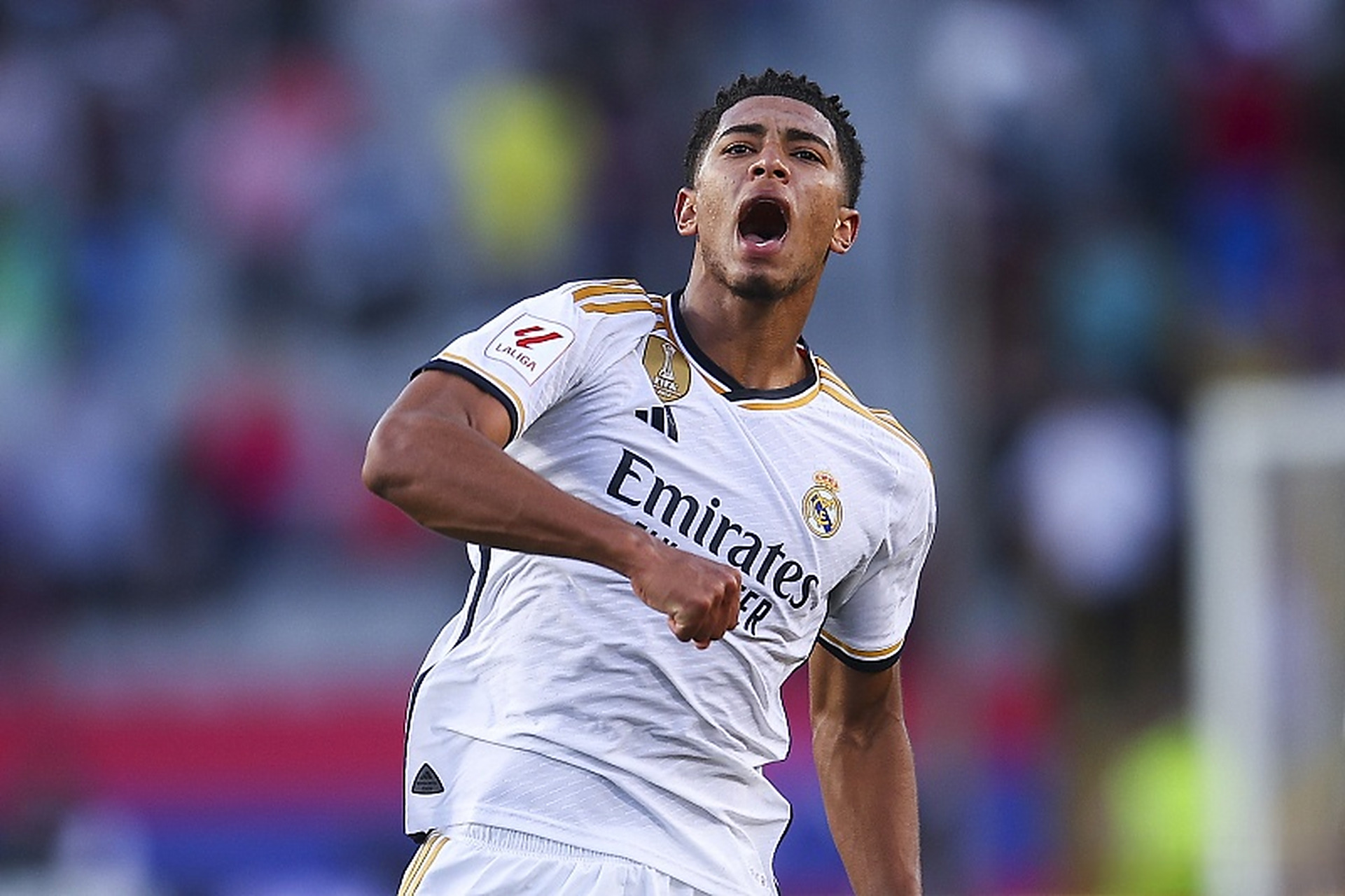 萨林杰高位 萨林杰高位